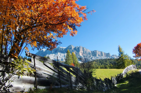 Image: The perfect location for your holidays in Alta Badia