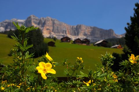 Image: The perfect location for your holidays in Alta Badia